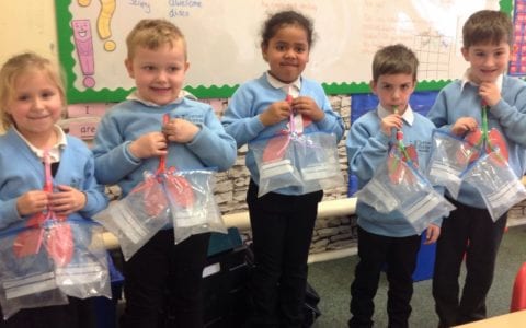 Breathing life into science with year 1 pupils