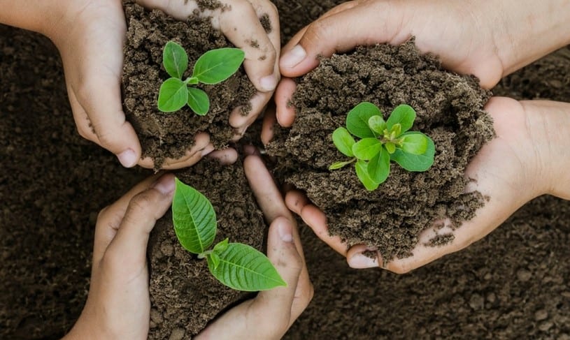 tree planting project title ideas tree planting project title ideas