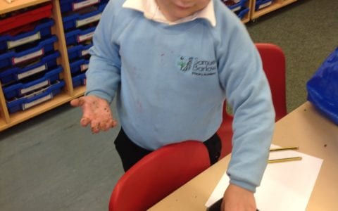 Year 1 investigate the science of plants