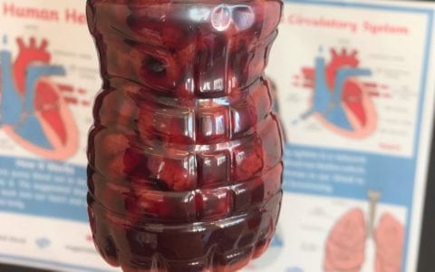 Flowing between curriculum areas; learning about blood!