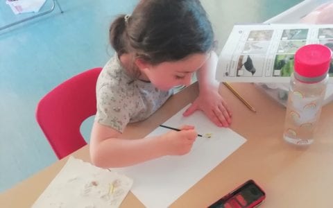 Samuel Barlow Primary newsletter - 26 June 2020