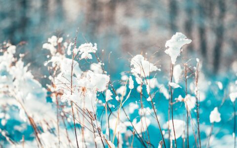 Newsletter – 03 December 2021