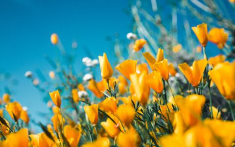 Newsletter - 19 May 2023
