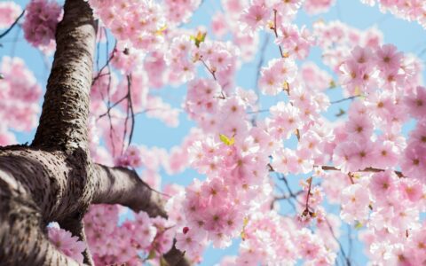 Newsletter - 29 April 2022