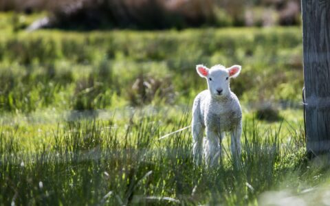 Newsletter - 31 March 2023