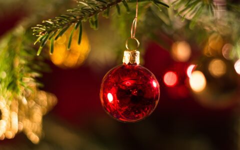 Newsletter - 16 December 2022