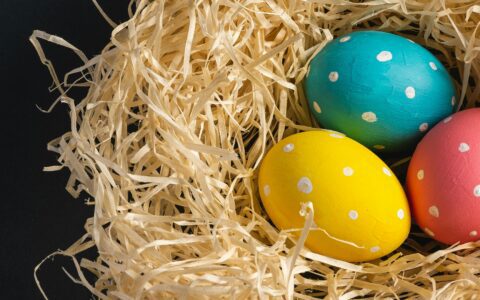 Newsletter – 28 March 2024